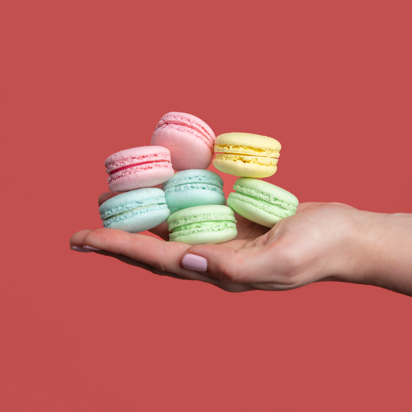 Macaron & Martini Evenings